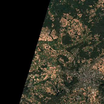 Berlin zwischen Stadt, Wald und Wasser, Aufnahme 2020-08-11
